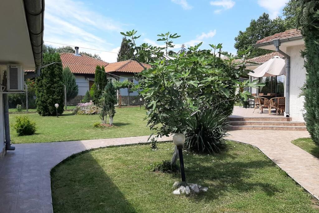 Guesthouse Oasis-Shabla ภายนอก รูปภาพ