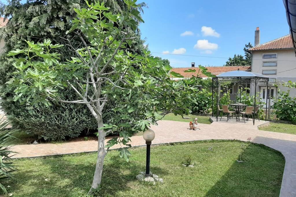 Guesthouse Oasis-Shabla ภายนอก รูปภาพ